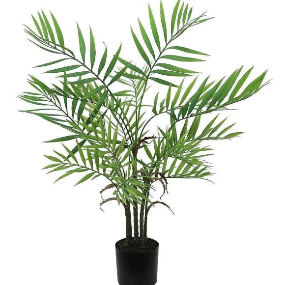 Best RETIF Palmier Areca Dans Pot Plastique H76Cm