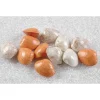 Shop RETIF Petits Coquillages Assortis En Lot De 12 En Plastique Souffl 60Mm