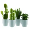 Shop RETIF Plante Grasse Verte En Plastique Dans Pot 9X25Cm - 4 Mod Les Possibles