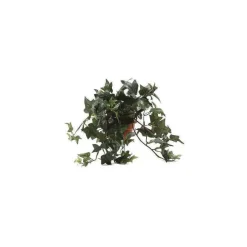 Hot RETIF Plante Lierre Vert En Port L30Xl25Xh20 Cm