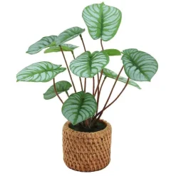 Store RETIF Plante Pilea Artificielle H 27 Cm - 2 Coloris Possibles