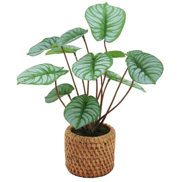 Store RETIF Plante Pilea Artificielle H 27 Cm - 2 Coloris Possibles