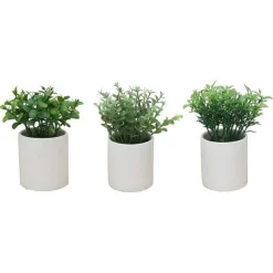 Shop RETIF Plante Verte De Table H 14 Cm - 3 Mod Les Possibles