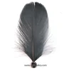 Best RETIF Plumes Perlees Noirx6 Pi Ces 4X8Cm Noir