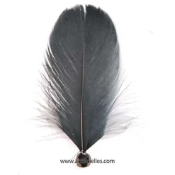 Best RETIF Plumes Perlees Noirx6 Pi Ces 4X8Cm Noir