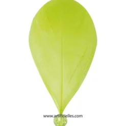 Hot RETIF Plumes Perlees Vert Anisx6 Pi Ces 4X8Cm Vert Anis