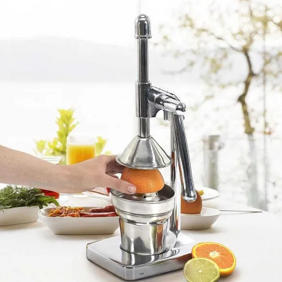 Best RETIF Presse Agrumes Levier En Acier Inoxydable