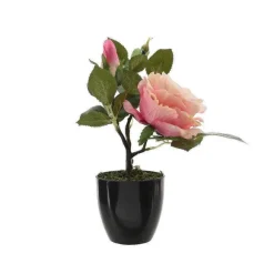 Store RETIF Rosier En Soie Rose Dans Pot Noir H.30Cm