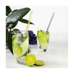 Discount RETIF Set 10 Pailles Droites En Verre Color Avec Goupillon