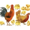 Best RETIF Sticker Coq, Poule Et Poussins 70 X 100 Cm Soit 1 Coq + 1 Poule + 10 Poussins