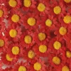 Online RETIF T Tes De Marguerite Artificielles Rougex36 En Sachet 3Cm Rouge