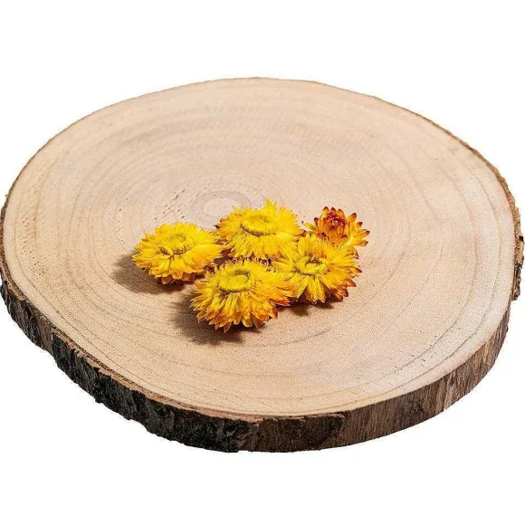 Cheap RETIF T Tes D'Helichrysums S Ch S Jaunes 3Cm - Par 6G