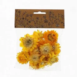 Cheap RETIF T Tes D'Helichrysums S Ch S Jaunes 3Cm - Par 6G