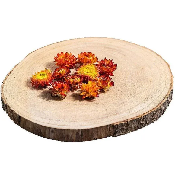 Fashion RETIF T Tes D'Helichrysums S Ch S Oranges 3Cm - Par 6G