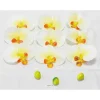 Outlet RETIF T Tes Fleurons Orchid E Phalaenopsis Factices X9 Avec 3 Boutons Cr Me