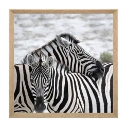 Hot RETIF Tableau Toile Murale Encadr E Imprim E Animaux Sauvages 58X58Cm