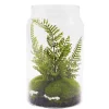 Outlet RETIF Terrarium De Foug Res H19Cm