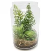Sale RETIF Terrarium De Succulentes H20Cm