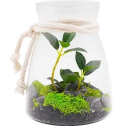 Best RETIF Terrarium Plantes Vertes, Mousse Et Galets H16Cm
