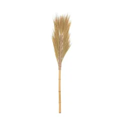 Shop RETIF Tige S Ch E De Rayung H117Cm