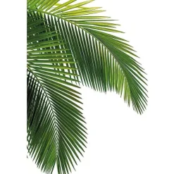 Outlet RETIF Vitrophanie Feuilles De Palmier - 45,9 X 68 Cm